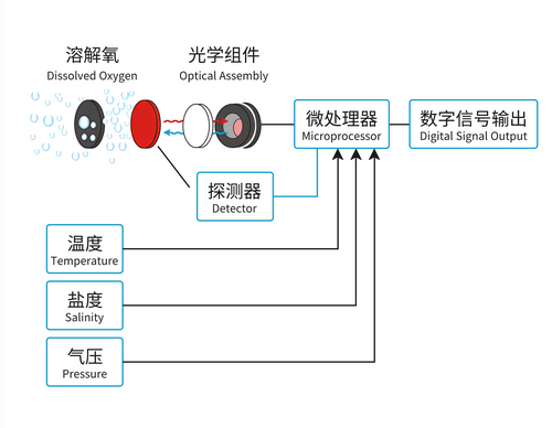溶解氧傳感器